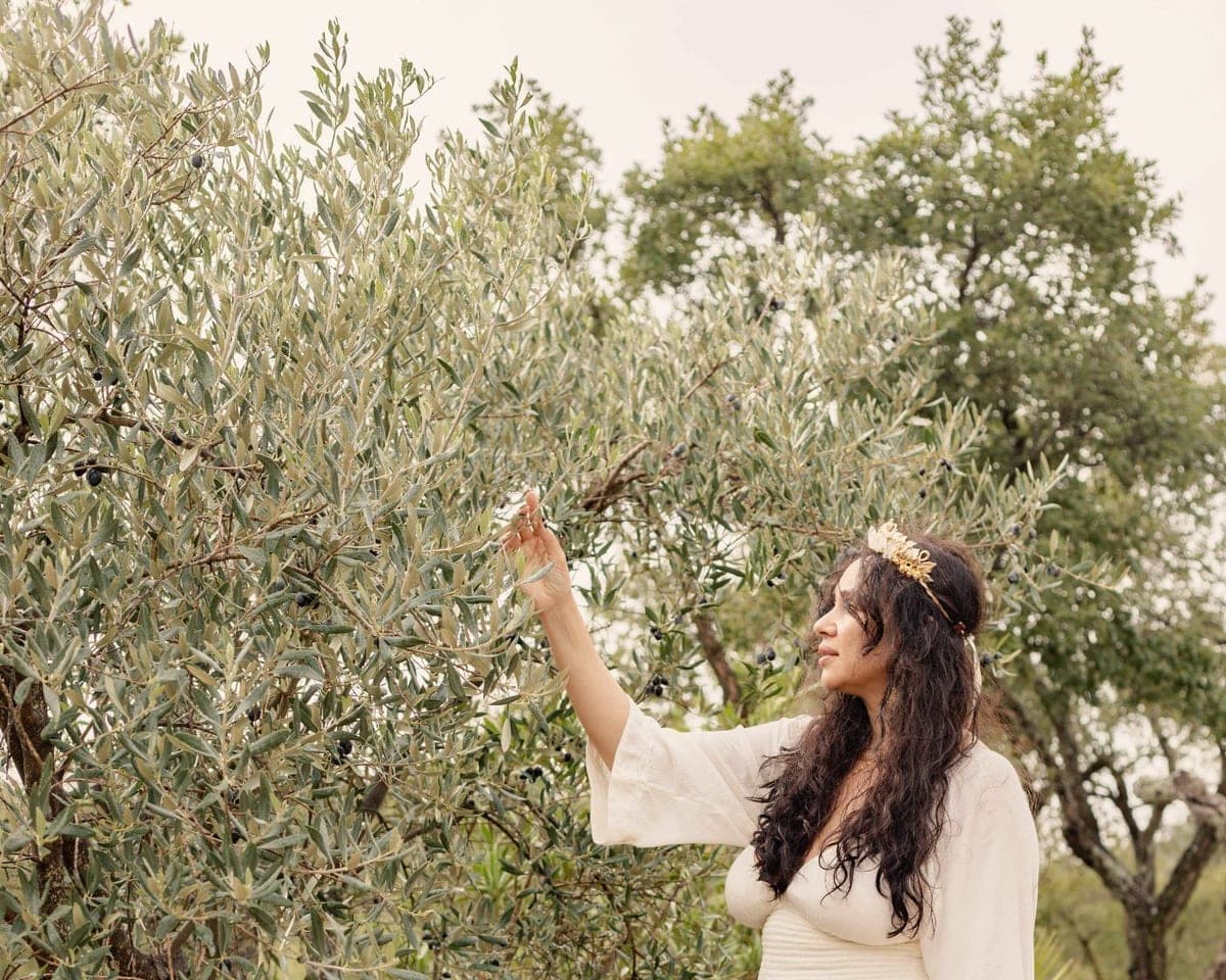 Camila Mello among olive trees, reaching toward a branch